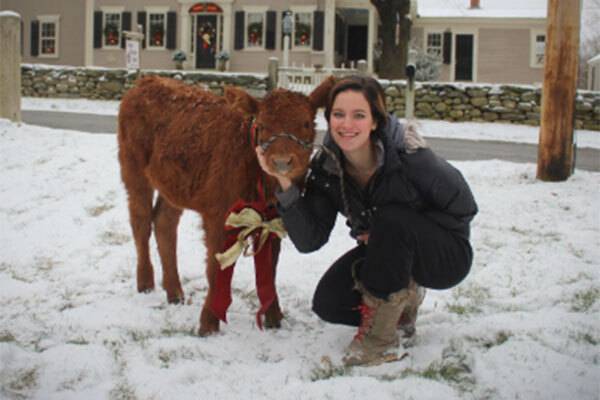 Young woman in a coat squatting with a young red calf in the snow in front of tan house